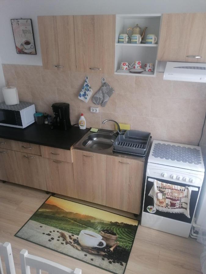 Ferienwohnung Apartament Alexia Orşova Exterior foto